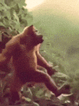 tumblr_osutheR3x31w3t2kwo1_400