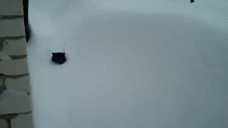 1045418