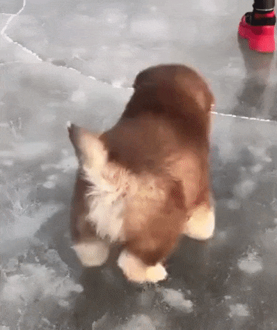 Фигурное катание