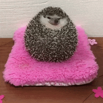 ёё