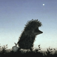 yozhik1.thumb.gif.111a77b8b691b0d25937b3d2897e3020