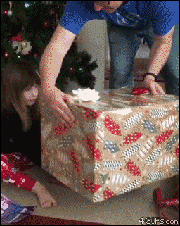 Christmas-gift-ninja-kitten