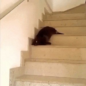 tumblr_p10roxLxUt1ufbwoco1_400