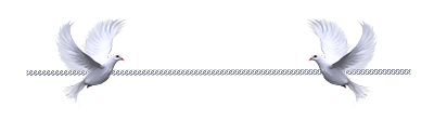 69467965_1295457185_831351