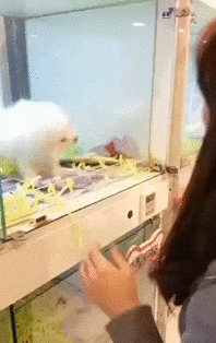 Этот точно друг