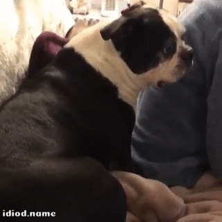 tumblr_p2f6yotUdp1qzhjh2o1_400