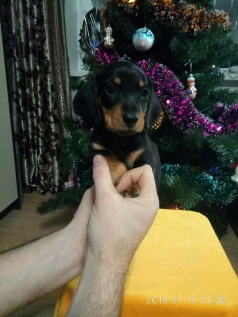 IMG-20180115-WA0011