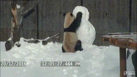 и снеговик