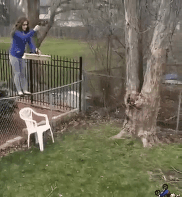 videotogif_2017.12.24_22.32.45