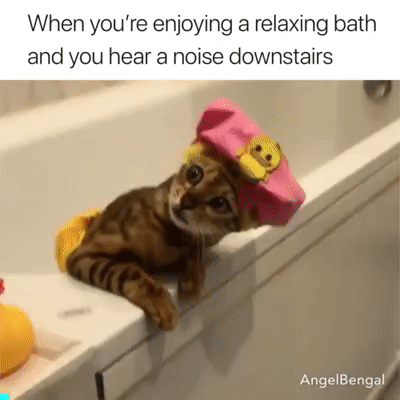 Ты где дорогой?