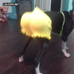 tumblr_msd2ilgh0U1r3gb3zo1_250