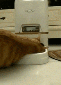 5e29120ba4587ae6065380b2510