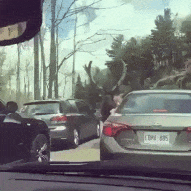 0447d5168393e9494c8813060cb