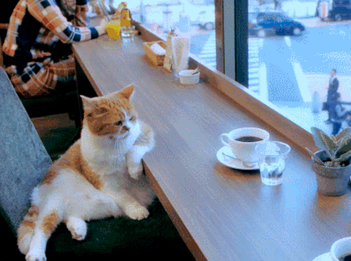 Пью кофе, смотрю в окно...