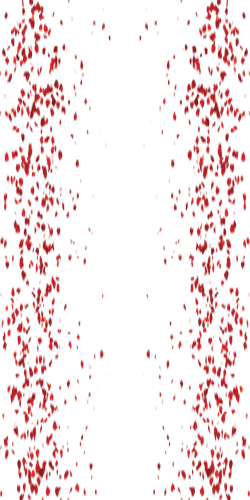 rosenblätter+