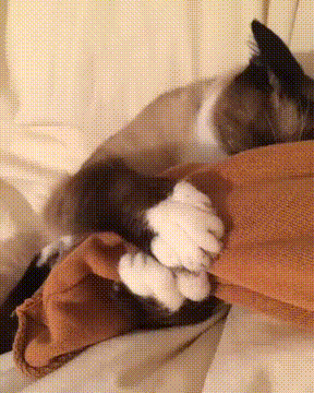 апс