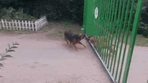 gif (15)