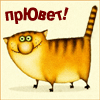 kat-9809