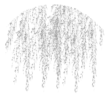 {CAC8E94A-D06D-75B5-5372-4435917E5624}
