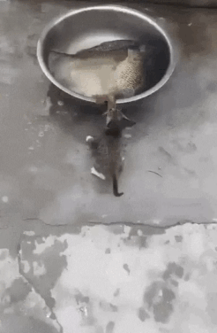 Моё.