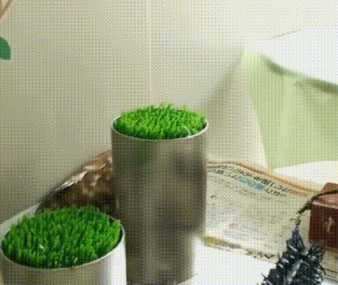 сов