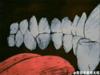 zhenskiirot1312054_yapfiles.ru