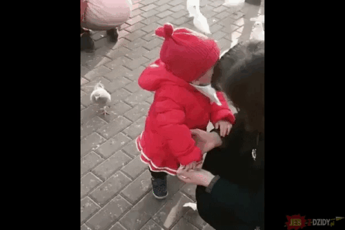 Птичка.