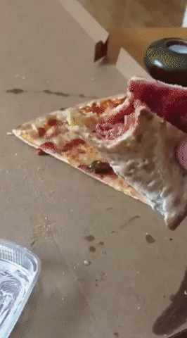 gif-sobaka-pitstsa-eda-4346114