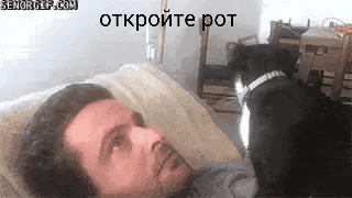 1521879993113645947