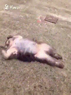 jkIqYzb