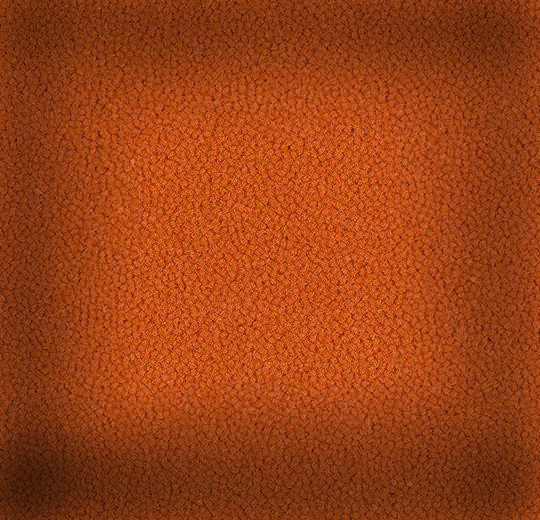 6a011f541088c.ten_yapfiles.ru