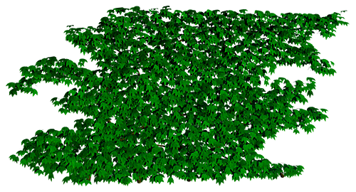 stena1_yapfiles.ru2