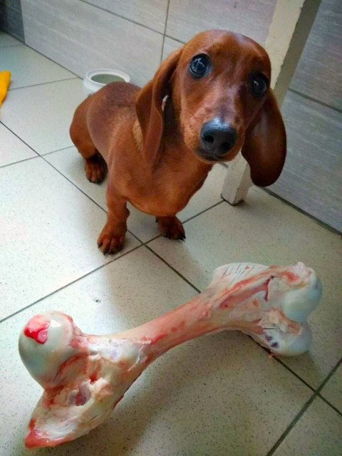 ima
