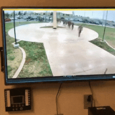 1522256105170843502_yapfiles.ru