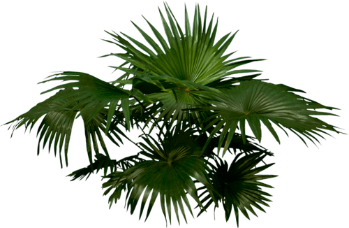 0_2357d1_8b336106_orig