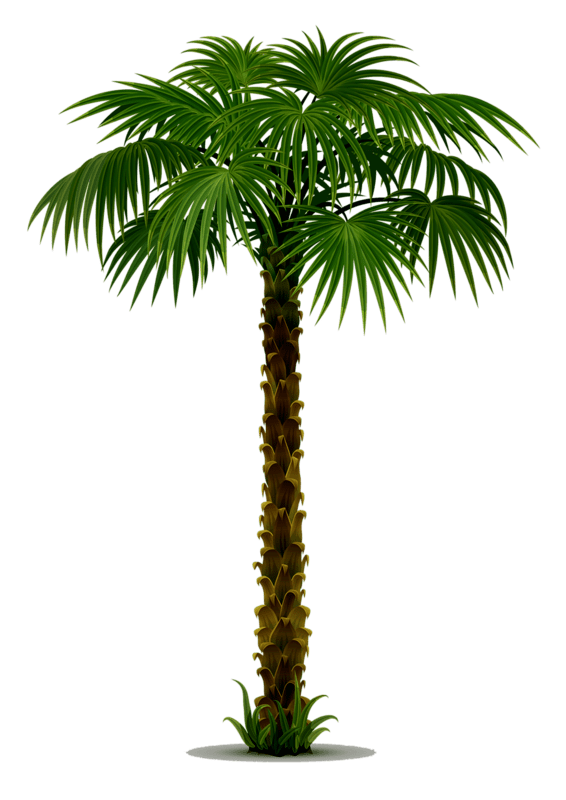 0_236adc_80d3d77a_orig