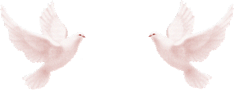 e60994bf5a525cdc53c7495602568232