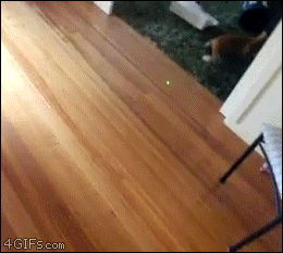 Боулинг