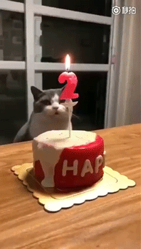 сыв