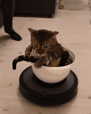 c9ee0a3f9df006df254ec17fe0d3cdf2