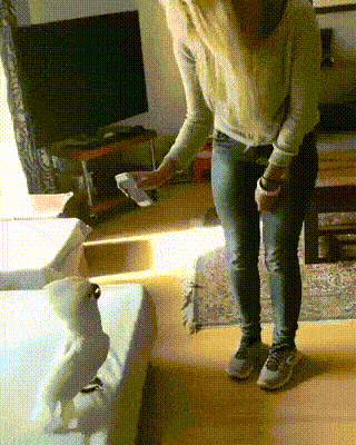 ыв