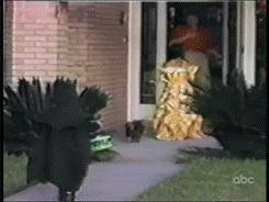 Fungif_09