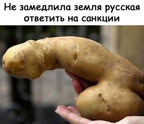 картоха