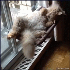 ced49241cf6df0f1188ecb687b4a7c66