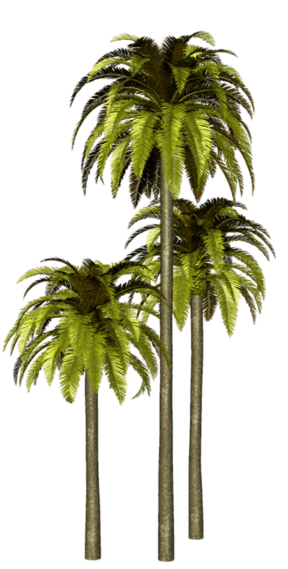 FLORES Y PLANTAS (PALMERAS) (1) (1)