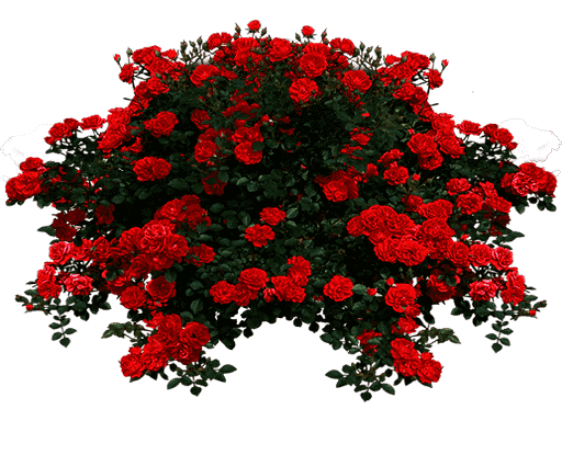 {3C91FC}