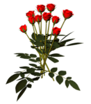 0_17eb2c_8134e6bb_S-min