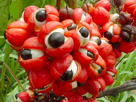 2018_05_12_22_09img_pr0gramm_com_2018_04_19_71b201aa872f9fd0