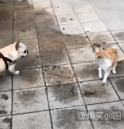 8NzhTvQ1YzrPW8Vz81R%3DKqLy9K%3DPo3NQedUiZLmsQdjvp1524195741048