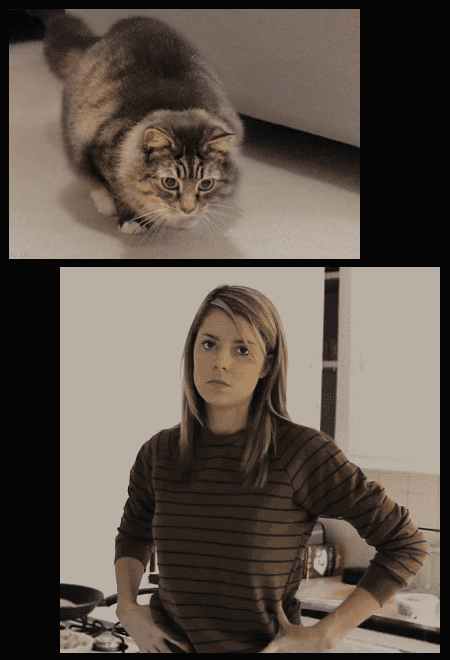 combined-gifs-finally-tell-the-whole-tale-xx-gifs-10